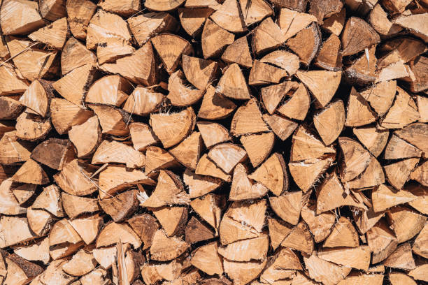 Stacked firewood in neat pile, natural background