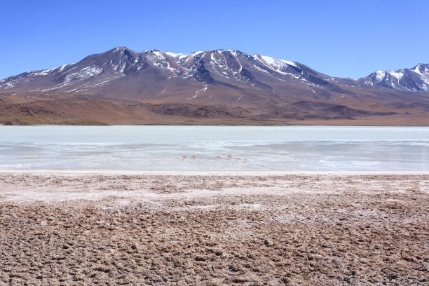 istock Laguna Hedionda view, Bolivia 2172922901