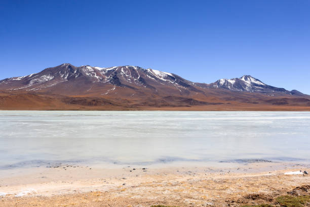 istock Laguna Hedionda view, Bolivia 2172922927