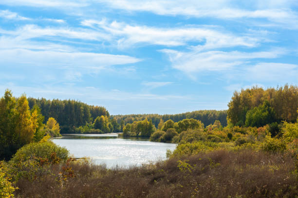 View from the Roosisaare suspension bridge to the north, with Lake Tamula behind us. The Vohandu River finds its way through dense reed forests. The pedestrian bridge is located at the northern end of the Tamula beach promenade. Late afternoon of a sunny  oktober day with slightly sub-zero temperatures. Location: Voru, Voru County, Estonia.