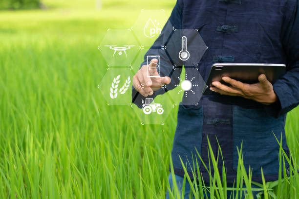 istock Farmers use wireless connectivity technology to connect and monitor production using tablets. 2172923840