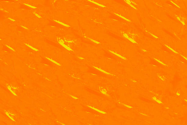 Bright ultra orange color with a lemon color dotted line pattern