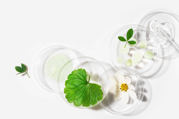 istock Beauty product sample with plants 2172929058