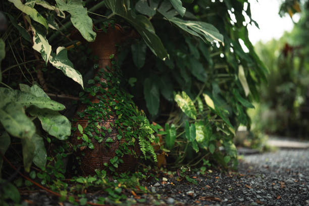 A rustic terracotta pot rests on the grass, surrounded by vibrant green leaves and soft white hydrangea blossoms. The scene evokes a tranquil, countryside garden mood with a touch of aging charm and natural texture, characteristic of Danish outdoor spaces.