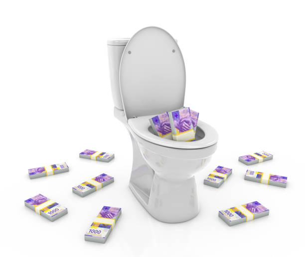 Fifty euro banknote pattern on the toilet paper.
