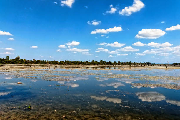 Image illustrating a landscape where white fluffy clouds are reflected on the tranquil waters of a pond in Cambodia under a sunny sky.