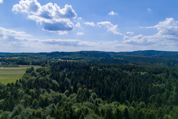 Aerial view of lush green forest and fields under a bright blue sky with fluffy clouds creating a serene atmosphere.