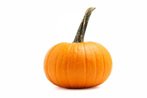 istock Pumpkin isolated on white background with shadows. Horizontal. 2172937928