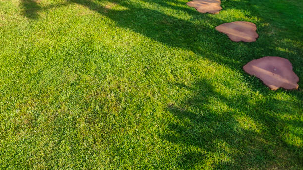 Lush green grass with stone pathway shadows, creating a peaceful outdoor ambiance. Ideal for nature-themed projects.