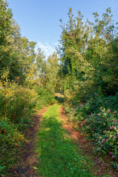 istock The road going into the distance 2172938263