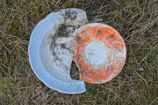 istock two old dirty colored broken plates lie on dry grass and ground 2172939876