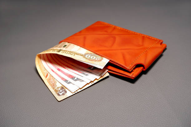 Brown money purse with currency notes on grey background close-up view
