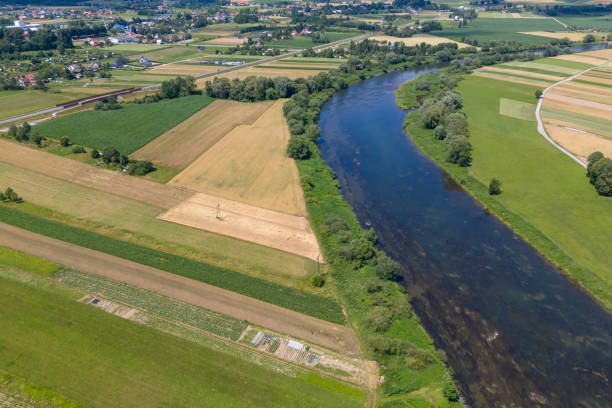 istock Aerial view of lush green fields and a flowing river 2172942034