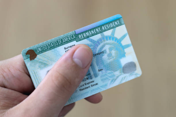 istock Man holding US permanent resident (green) with his hand. Immigration concept 2172944731