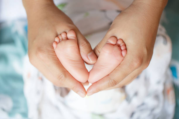 istock loving parent holds their babys tiny feet, creating heart shape with their hands, symbolizing warmth and affection. This tender moment captures bond between parent and child beautifully 2172945695
