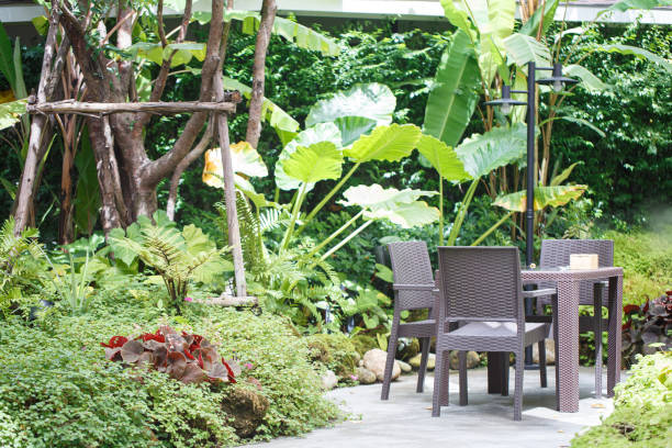 istock serene garden scene featuring stylish outdoor dining set surrounded by lush greenery and tropical plants, creating peaceful atmosphere for relaxation 2172945714