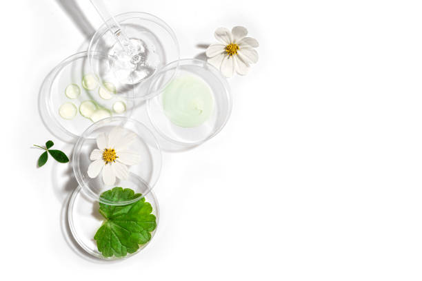 istock Beauty product sample with plants 2172946715
