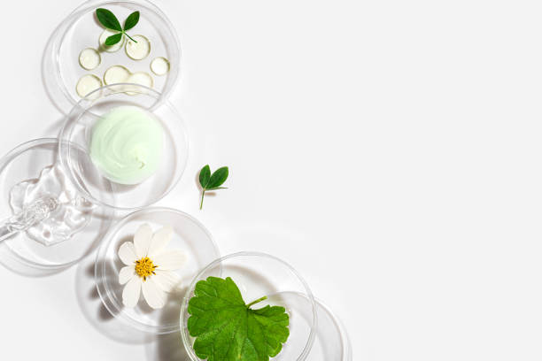 istock Beauty product sample with plants 2172946722