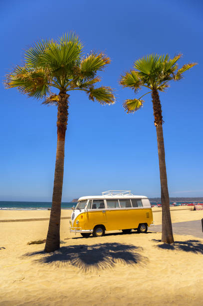San Diego, California, USA - June 20, 2023 : Vintage yellow Volkswagen camper van parked between palm trees on a sandy beach with a clear blue sky.