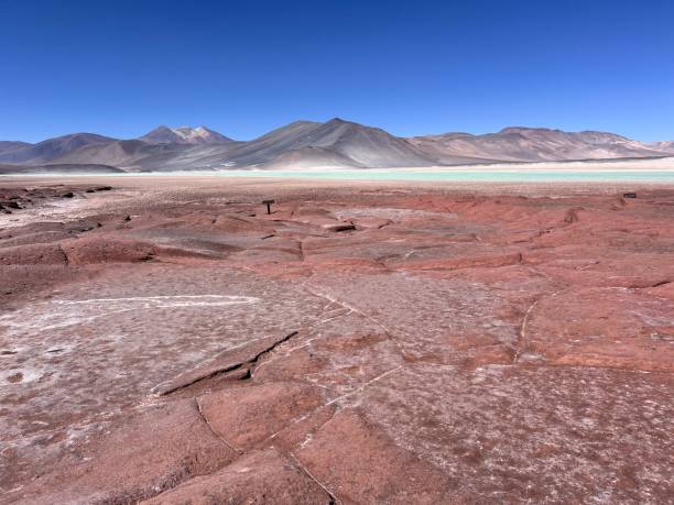 istock Red rocks of Atacama 2172951284