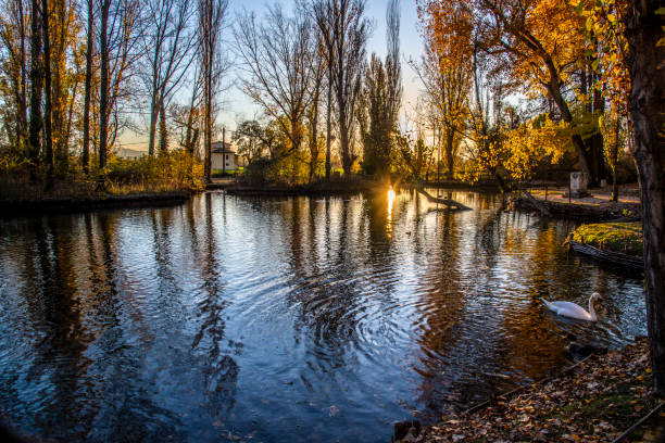 Sources on the Clitunno, Campello sul Clitunno, Perugia, Umbria, Italy, Europe:They are formed by underground springs that emerge from cracks in the rock through numerous springs, identifiable, at times, at the bottom of the lake.
