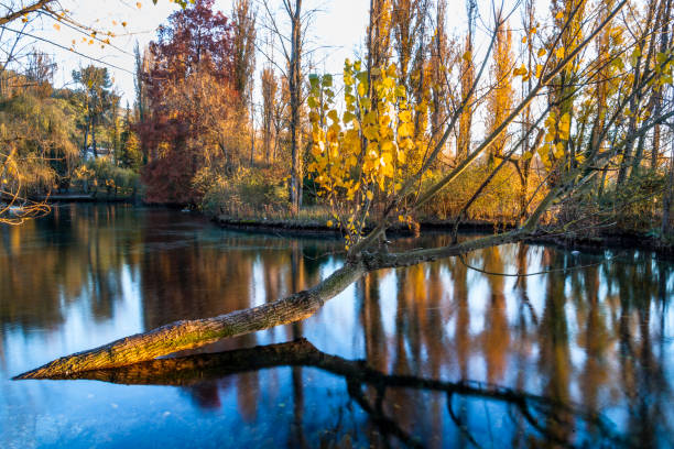 Sources on the Clitunno, Campello sul Clitunno, Perugia, Umbria, Italy, Europe:They are formed by underground springs that emerge from cracks in the rock through numerous springs, identifiable, at times, at the bottom of the lake.