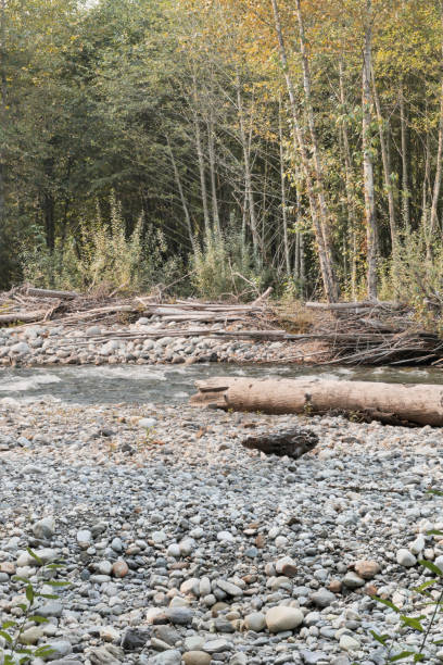 istock Chilliwack River in Chilliwack, British Columbia 2172958401