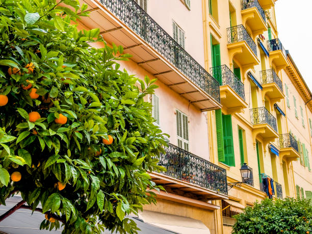 Architectural detail from residential area in Menton, France