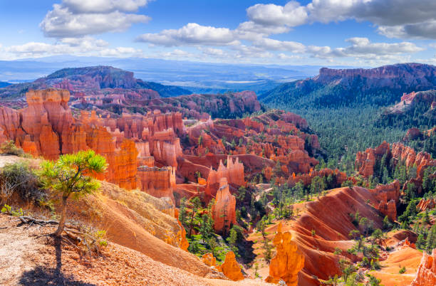 istock Bryce Canyon National Park 2172963239