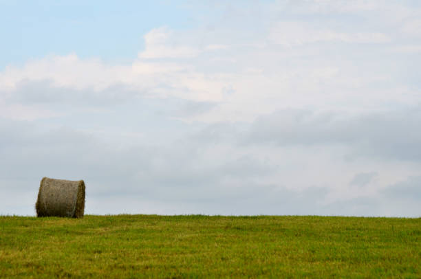 Bales of hay, straw, lifted high by an agricultural telescopic turner. Bottom photo of hay bales. Beautiful sky for background.