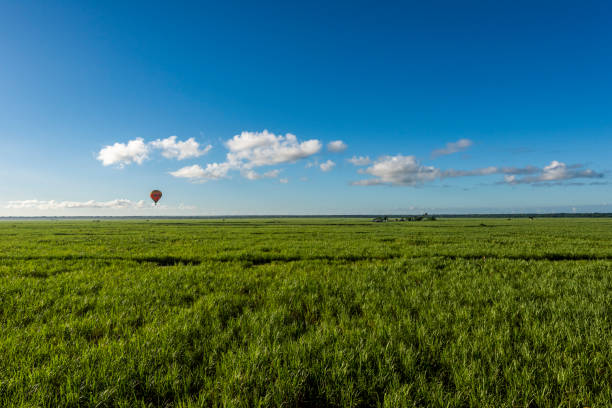 Hot air balloon flying over a field