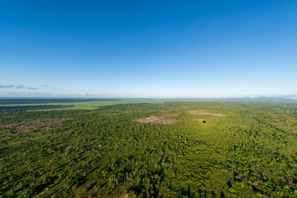 istock Hot air balloon flying over a field 2172973918