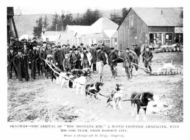 Sled Dogs at Skagway. Alaska, United States and British Columbia, Canada, Klondike Gold Rush, 19th Century North American History Husky sled dogs at Skagway, Alaska, USA. Engraving published 1899. Original edition is from my own archives. Copyright has expired and is in Public Domain. alaska gold rush stock illustrations