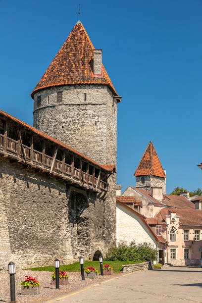 istock Ancient Wall, Tallinn, Estonia 2172990269