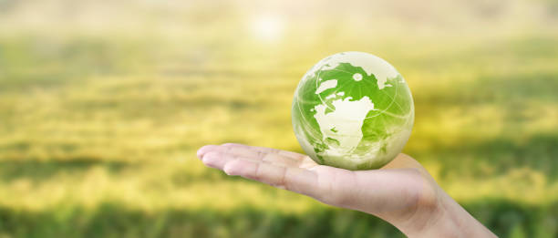 istock Globe ,earth in human hand, holding. Earth image provided by Nasa 2172993959