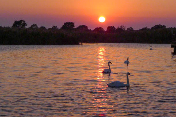 istock sun over the lake 2172999842