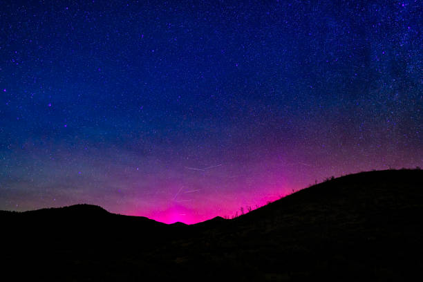 istock Silhouetted Trees with Vivid Aurora Borealis 2173016772