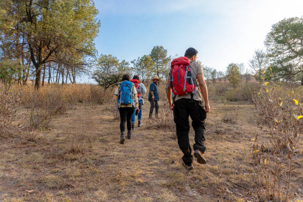 istock Hiking excursion with focus on ecotourism Group of hikers, led by a local guide, exploring nature. Concept of hiking, conservation, exploration, eco, ecology, local. 2173017508
