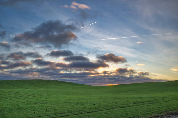 istock Beautiful rural landscape with green rolling fields under a dramatic sky at sunset 2173031933