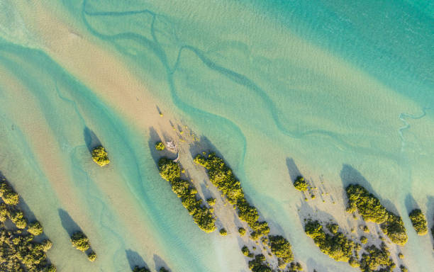 istock Sand and water ripples from above. 2173035555