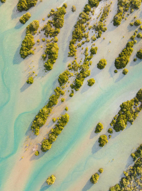 istock Lush greenery and turquoise water at Waiwera beach. 2173035564