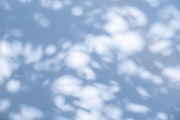 Studio style background wall decoration presentation uses white and blue tones. with shadows cast from a nearby window, concept creating a decorative