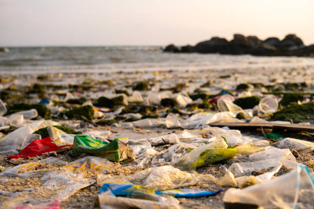 istock trash, plastic cups and plastic bags at the beach. environmental problem concept and healing the world 2173044508