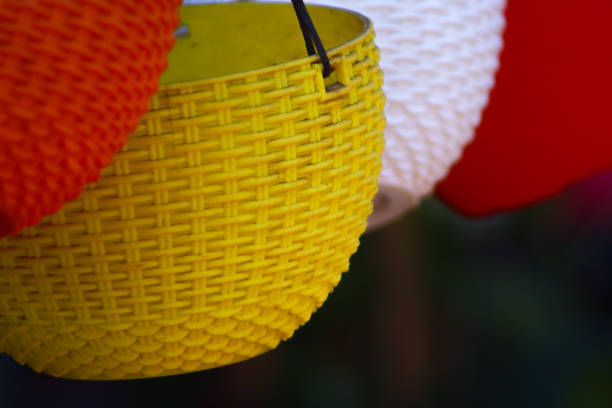 Hanging Basket Flower Colorful Pot Closeup