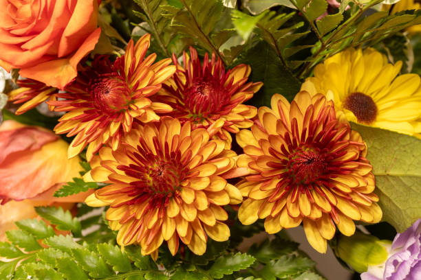 istock Indoor flower arrangement texture background 2173047688