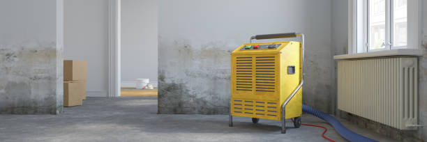 istock 3d rendering - empty scandinavian room - dehumidifier - renovate 2173049537