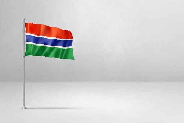Flag of Belarus waving pattern background.