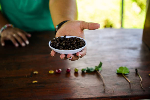 Close up of women's hands with coffee beans on coffee bottom with levitating grains