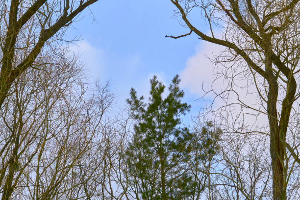 Winter is the coldest time of the year, following autumn