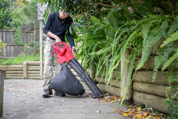 Man working with a leaf vacuum in the backyard. Auckland.
